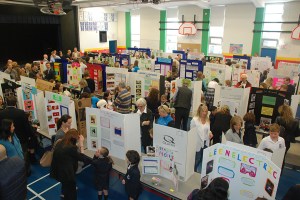 Primary Project Fair
