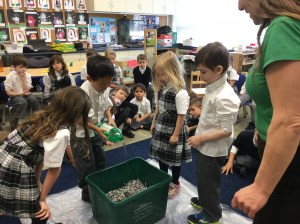 Vermi-composting in Senior Kindergarten