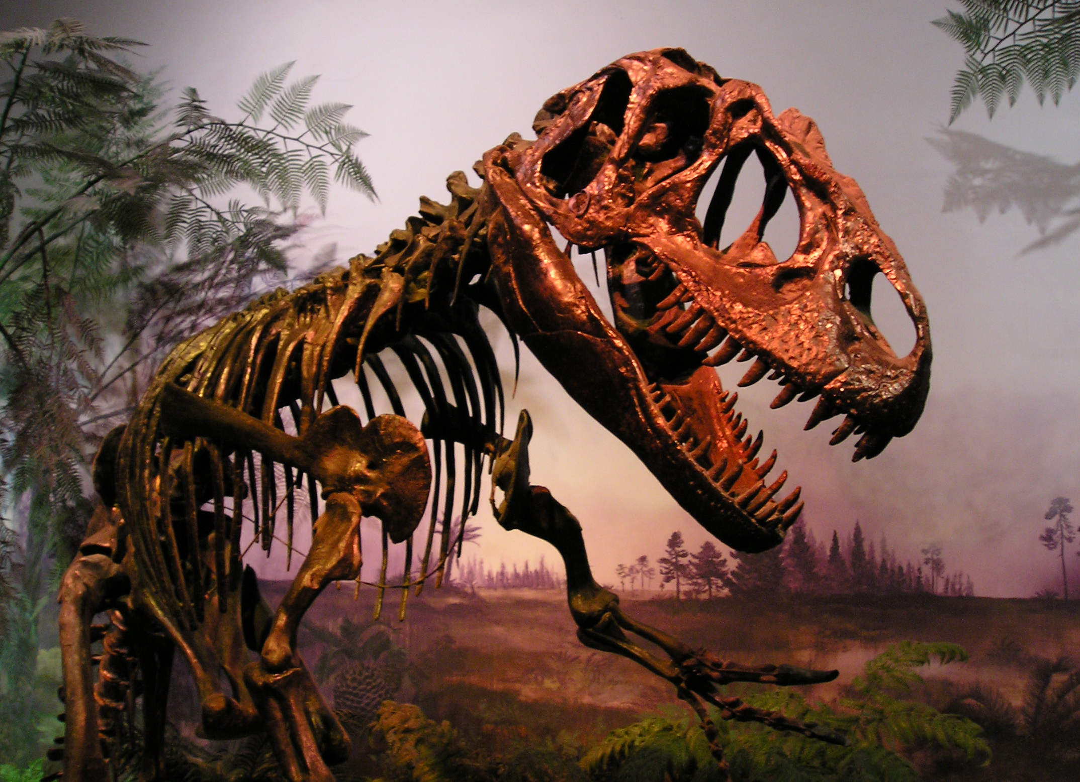 ROM-DinosaurDisplay-May9-04